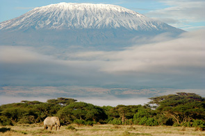 In the Shadow of Kilimanjaro