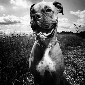 Ella by Brad Johnson