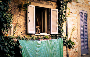 Back Window by Marcos RV