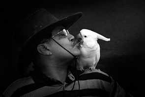 The Kiss by Rajesh Dhar