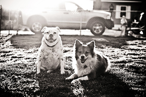 Best of Friends by Bridget Gates