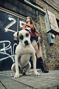 American Bulldog by Katya