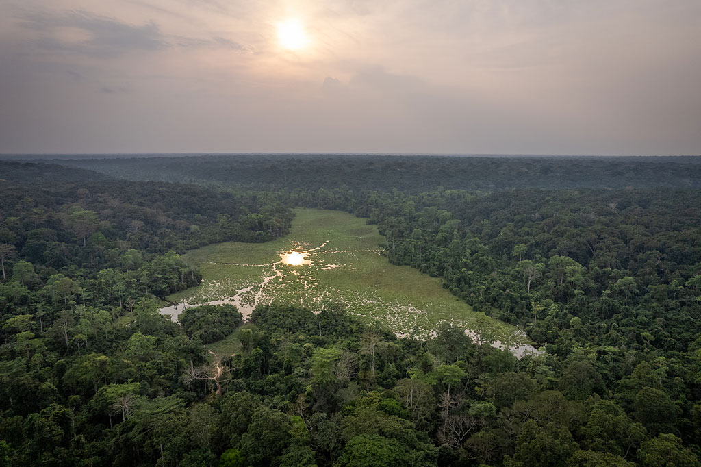 Mbeli Bai, Nouabalé-Ndoki National Park