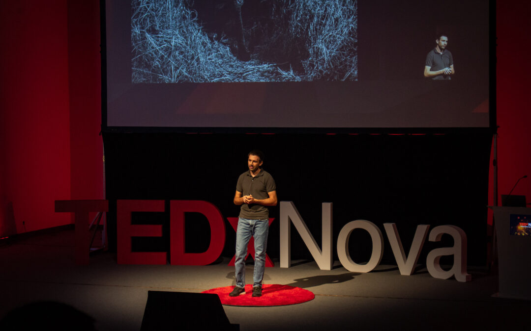 TEDx Talk: What I learned while photographing wildlife
